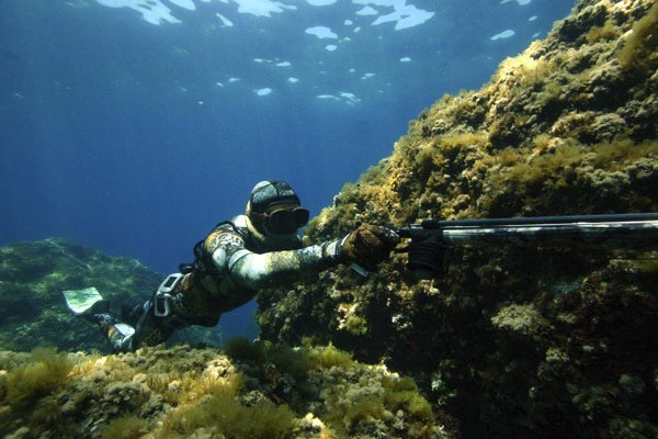 La chasse sous-marine! - Guide Spearfishing