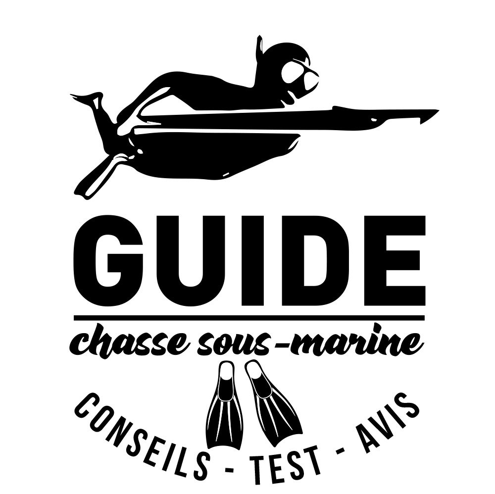 Comment choisir son fusil harpon de chasse sous marine - Guide
