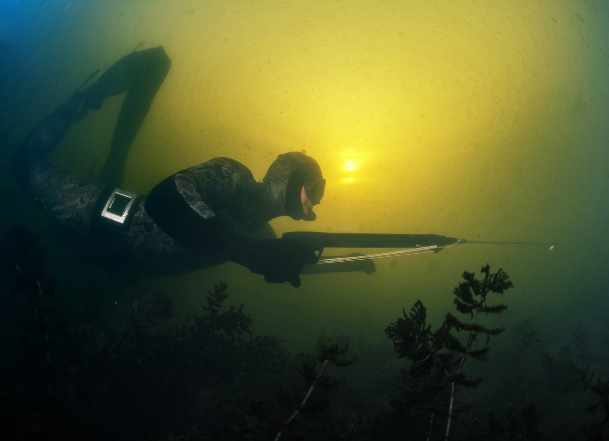 Epsealon Guide Spearfishing